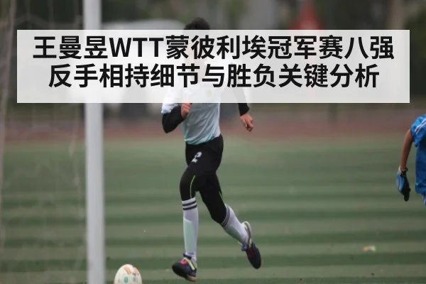 王曼昱WTT蒙彼利埃冠军赛八强反手相持细节与胜负关键分析
